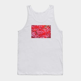 Maple Tree / Swiss Artwork Photography Tank Top